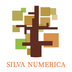Silva Numerica